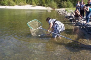 Debbie Miller releases first sockeye to Alouette Reservoir in over 80 years.